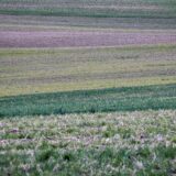 Die stille Erzählung der Welt